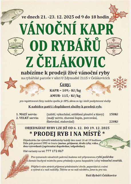 Vánoční kapr 
