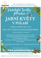 Pozvánka na přírodovědnou vycházku "Jarní květy v Polabí" 